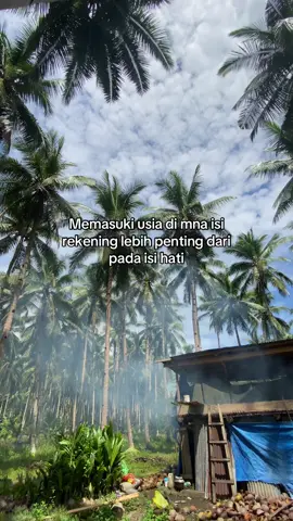 ##fypシ゚ #katakata #fyp #fypage #xybca 