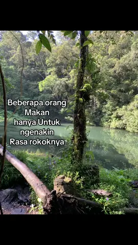 Kalo abis makan langsung ngeroko mood tuh langsung naik ya #fyp #story #masukberandamuu 