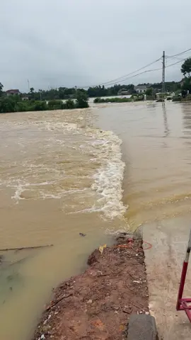 2 năm lũ lại chồng lũ