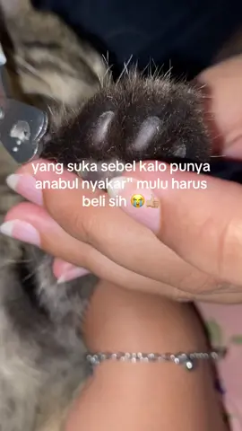 jangan sampe pake gunting kuku manusia lagi deh 😞#fyp #foryou #potongkukukucing #guntingkuku 