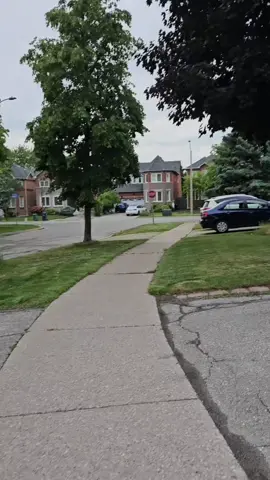 🖤🍂 #canada_life🇨🇦 #canada_life🇨🇦 #fypシ゚ #punjabisong #satindersartaj #goviral #100kviews #viewsproblem #viralvideos #tears #truestory 