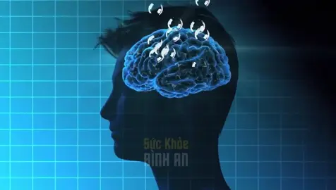 Thức khuya ảnh hưởng như thế nào tới cơ thể #suckhoebinhan #suckhoe #songkhoemoingay #cothekhoemanh 
