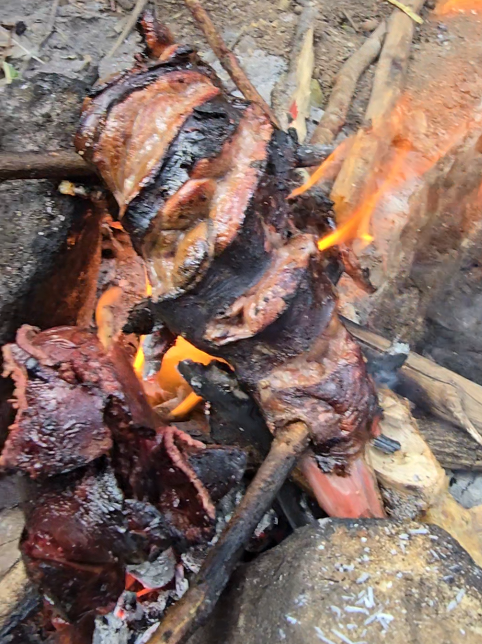 bbq time #chaaba #viralvideo #foryou #viral #dudukwe #hadzabetribe #wildlife 