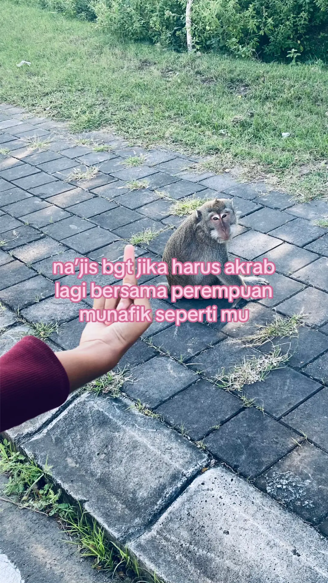 #fypage #foryou #zxycba #lewatberanda 