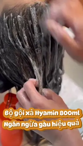 #goixachinhhang #goixatrigaunganrungtoc  #hyamin  Làm mưa làm gió mấy nay các bác ơi!!!!