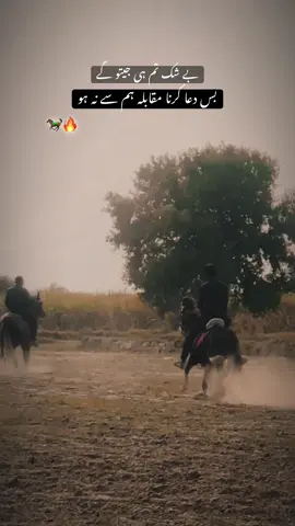 DUA KRNA 🥷🏻. . . #fyp#xforyou#viralvideo#unfrezzmyaccount#growaccount#horselover#nezabazi#منڈی_آلے💪🔥 #horsesoftiktok 