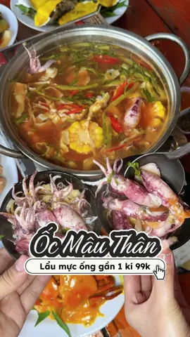Lẩu Mực Ống gần 1 kí chỉ 99 cành #ghebatreview #ancungtiktok #reviewanngon #cantho #review 