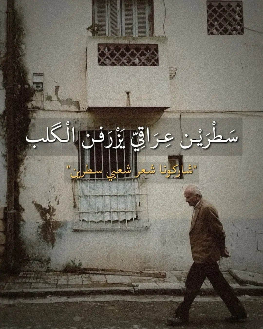 #اقتباسات_عبارات_خواطر #شعراء_وذواقين_الشعر_الشعبي #شعر