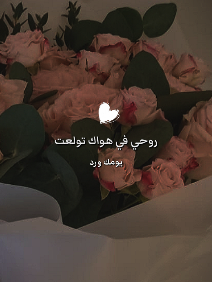 🖤🌿🥺 حياكم في يومك ورد 😍 الموقع 📍 الطائف -جبره  يوجد لدينا توصيل التواصل 0500086778 #ورد_طبيعي #ورد_الطائف #ورد_صناعي #اكسبلور #اكسبلورexplore #ti̇ktok #yfp #viral 