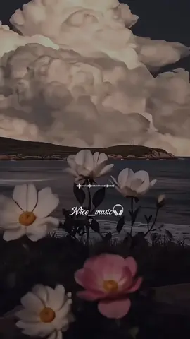 #rolitaschidas #paradedicar🙈❤️🙈 #para_tus_estados🙃 #🎧🔥 #❤️❤️❤️❤️❤️❤️❤️❤️❤️❤️❤️❤️❤️❤️❤️ 