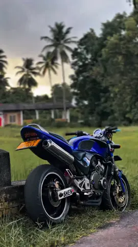 පොලීමට එන්න 😗🙌                   #foryou #foryoupage #fypシviral #1m #CapCut #Hornet250cc #asheeB #matara_srilanka🇱🇰 #fpppppppppppppppppppppppppppppp❤️‍ 