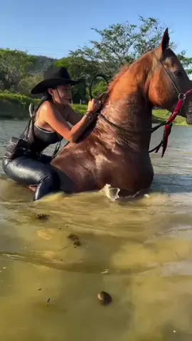 Reinaldo Armas El indio #reinaldoarmas #elindio #musicallanera #fyp #paratii 