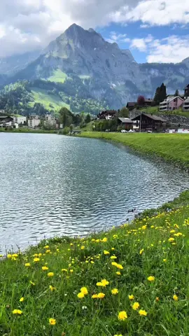 قرية انجلبيرغ 🫧🍃🇨🇭 #المسافرون_الى_اوروبا #المسافرون_العرب #النمسا_فيينا🇦🇹 #انجلبيرغ🇨🇭 #فرنسا🇨🇵_بلجيكا🇧🇪_المانيا🇩🇪_اسبانيا🇪🇸 #سويسرا🇨🇭 #مطر #مطاعم_انترلاكن #جريندلوالد 