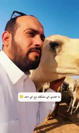 ابيات الشاعر العملاق / ناصر الحمادين 🌹#explore #fyp #foryoupage #حمود_الاول #الشعب_الصيني_ماله_حل😂😂 #اكسبلور #foryou #fypシ゚ #اكسبلورexplore #fypシ #شعر #الابل 