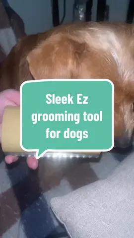 Love this Sleek ez grooming tool for dogs #dogs #dogsoftiktok #groomingtool #dogbrush #doggrooming 