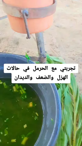 خلطة _أبونايف_للدايدان#القصيم_بريده_عنيزه_الرس_البكيرية #بيشه_الجنوب_عسير_ابها_الرياض_الدمام #مراح_مفخرة_الحلال #fyp #ترند_تيك_توك_مشاهير #ينبع_جده_مكه_جده_ينبع #مشاريع_فحول_حري #