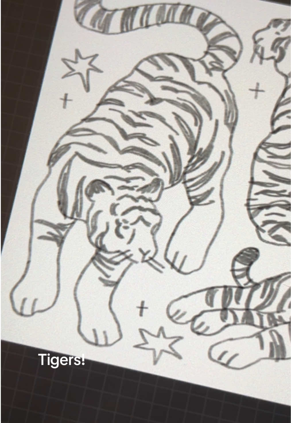 Aha sorry about that guys.. I put em back on 🙈🤥 #tiger #cute #lion #bigcat #cat #procreate #speedpaint #DIY #handmade #sketch #drawing #artist #twee #brat #chibi #kawaii #howtodraw #fyp