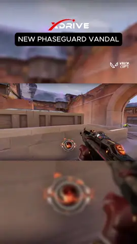 NEW PHASEGUARD VANDAL