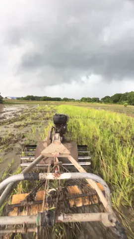 pag sa hapon ang laki ng dilim🌾😂#buhaybukid #fypage #handtractorkuliglig #kaburak 