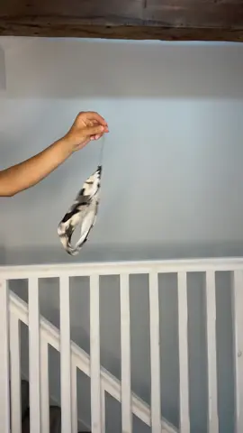 #fyp #countrygirl #bluecollar 