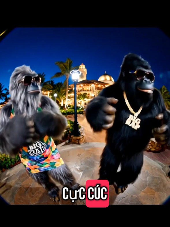 Big Rap - hôm nay cực quá Cúc ơi. mình đi ngủ sớm cho đời thêm tươi. 🥹 #Bigfoot 