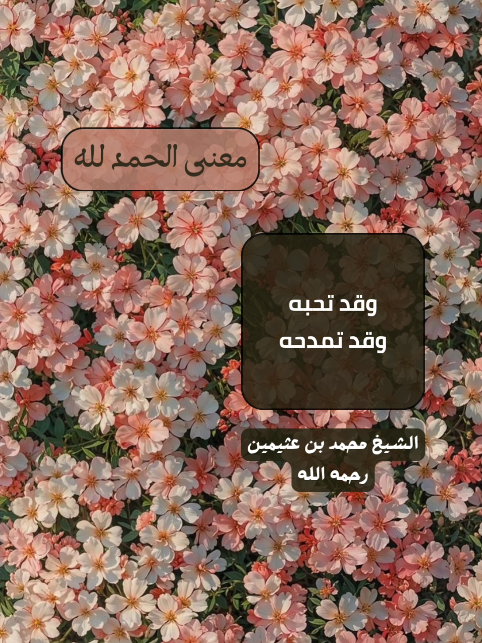 معنى #alhamdulileh . الشيخ #ابن_عثيمين رحمه الله.