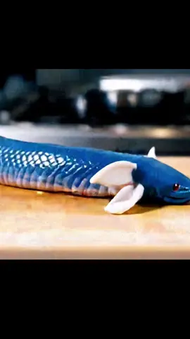 Dratini sushi anybody? 🍣🍙🤨😳#cookingpokemon #dratini #cooking #veo3 