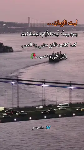 #اقتباسات_عبارات_خواطر🖤🦋❤️ #اقتباسات #حزينہ♬🥺💔 #حالات_واتساب 