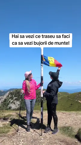 Un traseu clasic in Ciucas, facut special pentru a vedea bujorii de munte... dar am ajuns un pic prea tarziu. 🌸 Traseul: Cabana Muntele Rosu – Gropsoarele – Cabana Ciucas – retur la Cabana Muntele Rosu. Un traseu mediu ca dificultate, cu portiuni spectaculoase pe creasta si panorame largi asupra intregului masiv. Chiar daca bujorii se scuturasera, muntele ne-a rasplatit cu liniste, aer curat si peisaje de vis. Recomandat pentru o zi intreaga de mers, cu pauze si opriri pentru fotografii si admirat natura 📸 @Cristina Ioana  #anothersideofmeblog #muntiiciucas #bujoridemunte #rododendron #ciucas #gropsoarele #trasee #traseumontan 