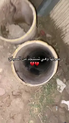 يشهد الله اني حاولت💔💔💔#explore #الرفق_بالحيوان #اكسبلور #viral #foryou #الرياض #جمعيات_إنقاذ_الحيوانات #الدفاع_المدني 