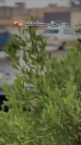 كل كسره فينا ف دمه صاحبها ومش مسامحييين 💔👌#ورشفانه_العزيزيه_الزهراء_الحشان_الساعديه #ورشفانة_العزيزية_جنزور_طرابلس_ليبيا🔥🖤 