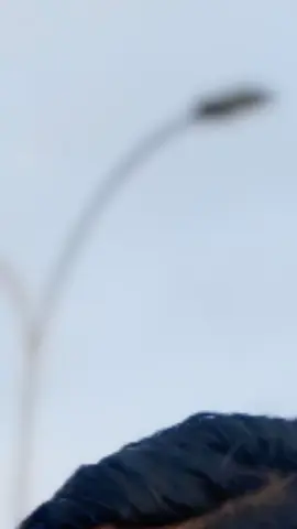 #foryoupage❤️❤️ #viraltiktok #viral #foryoupage 