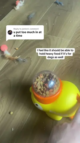 Replying to @janine great concept #cats #kittycat #kitty #kittys #kittytok #catsoftiktok #carsoftiktok #catlover #cattok #catfeeding #cattoys #cattoy 