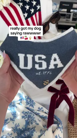 RAWR 🇺🇸🦅💙
