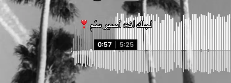 ❣️ #عصام_كمال #مشاعل #fyp #explore 