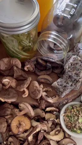 Mushrooms are one of those things that are SO much less expensive in bulk- so learning a few easy ways to preserve them is a great way to save on your grocery bill, on packaging and on prep work later! 🍄  To freeze:  🍄Slices- Using a small amount of oil to make sure they don’t stick to the pan, thickly slice clean mushrooms and sauté until they’ve lost at least half of their volume and have turned golden brown. For the best results, pat dry, freeze on a baking sheet, and then transfer for long-term storage.  🍄 Duxelles- Most duxelles recipes are very dry, so they’re great for freezing! Make your favorite recipe (I use one I’ve adapted from Julia Child pop into ice cube molds, freeze, and then transfer containers. My duxelles recipe: 1/2 Pound small mushrooms, Minced and squeezed to remove liquid 1 Medium shallot, minced 2 Cloves Garlic, Minced 2 TBs Parsley, minced 1 Tbs Butter Sauté all ingredients in butter until golden brown! 🍄 Mushroom Stock I use one part mushrooms to two parts water and let simmer for about an hour! I add mushroom stock into other veggie stock so I don’t add seasoning, but you can add whatever spices and herbs you’d like! To dehydrate: Depending on the mushroom, you can dehydrate mushrooms both in slices and whole! There is no need to cook these beforehand because you’re removing the moisture content, but I tend to only dehydrate mushrooms that I’ll either be using in soups or for seasoning because dehydrated mushrooms don’t hold their structure well. 🍄Dehydrated Mushroom seasoning: I combined chopped 1/4 cup each dehydrated mushrooms, onions, garlic, green onion, and parsley plus 1/2 cup of salt then broke it down to size to create a great rub for meats or seasoning for many dishes!  If you pop mushrooms into a food processor you can also make mushroom powder to add to smoothies like I did with this lion’s mane! (Video to come!)  #urbanhomestead #foodpreservation #foodwaste #mushrooms #slowliving #preservingfood #Sustainability #canning #canningandpreserving #urbanfarming