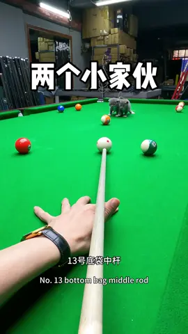 Two little guys #Tatcha  #台球教学 #Billiards 