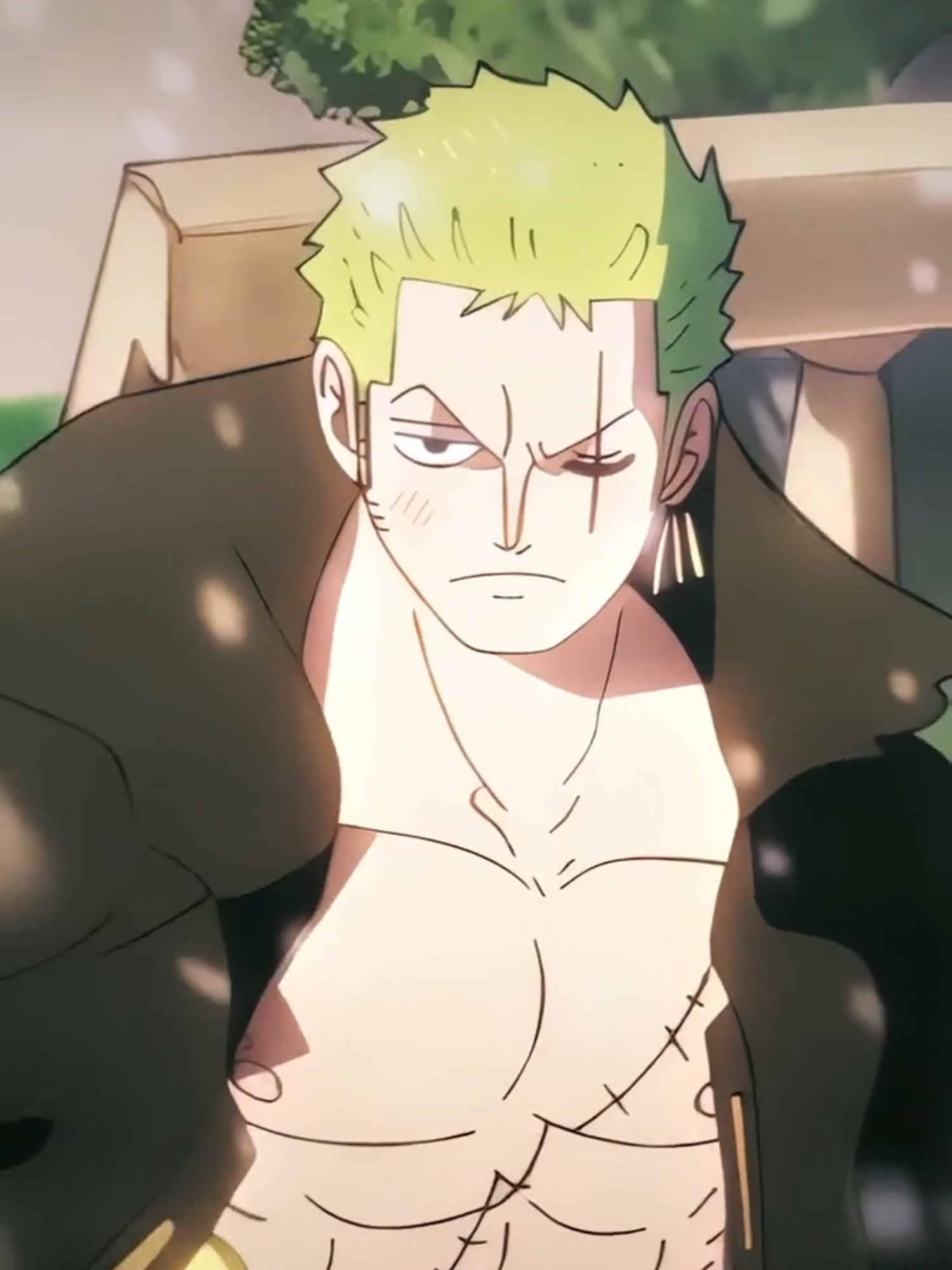 Missed those edits #onepiece #zoro #animeedit #animewallpaper #tokamisquad 