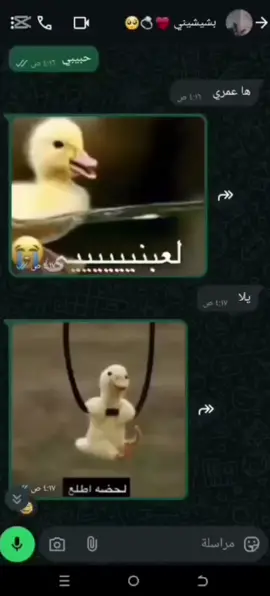 #حبيب_روحي♥️💍 @ابن الشايب  ⁽͢͢💕⇣#ترند #ترند_البطه  #حب #خبالاتي #احبك #لايك_متابعه_اكسبلور #متابعة #مضحك #عراقيين #خطيبي💍 