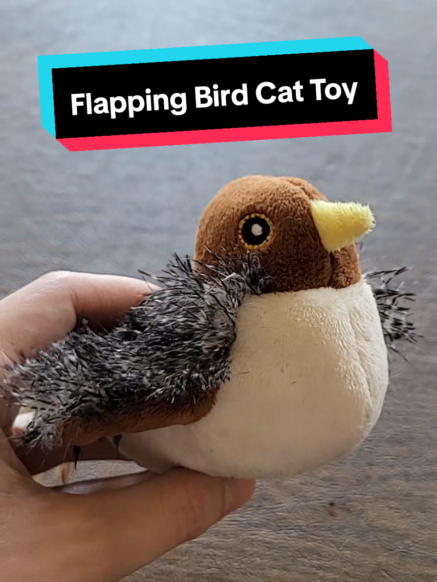 Replying to @victoria.giveup It's got fairly thick material and with the quality stitching I don't think a cat can rip them off. If you have any other questions let me know!  #cat #cats #catsoftiktok #cattoys #cattoy #pettoys #catplaying #catlover #potaroma #cattok #musthaves 