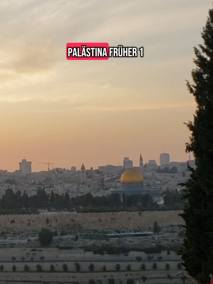 #palästina #palestine #filistin #gaza #arabisch #muslimisch #telaviv #länder #kulturen #viral