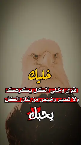 #عبارات #تصميم #creatorsearchinsights #ليك______🖤___متابعه____اكسبلووور #لايكات_هاشتاكات 