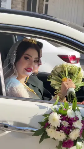 #هاوريان_ئةكتيڤ_سفرة_هاوكار_بن #هەولێر_سلێمانی_دەهۆک_ڕانیه_کەرکوک #