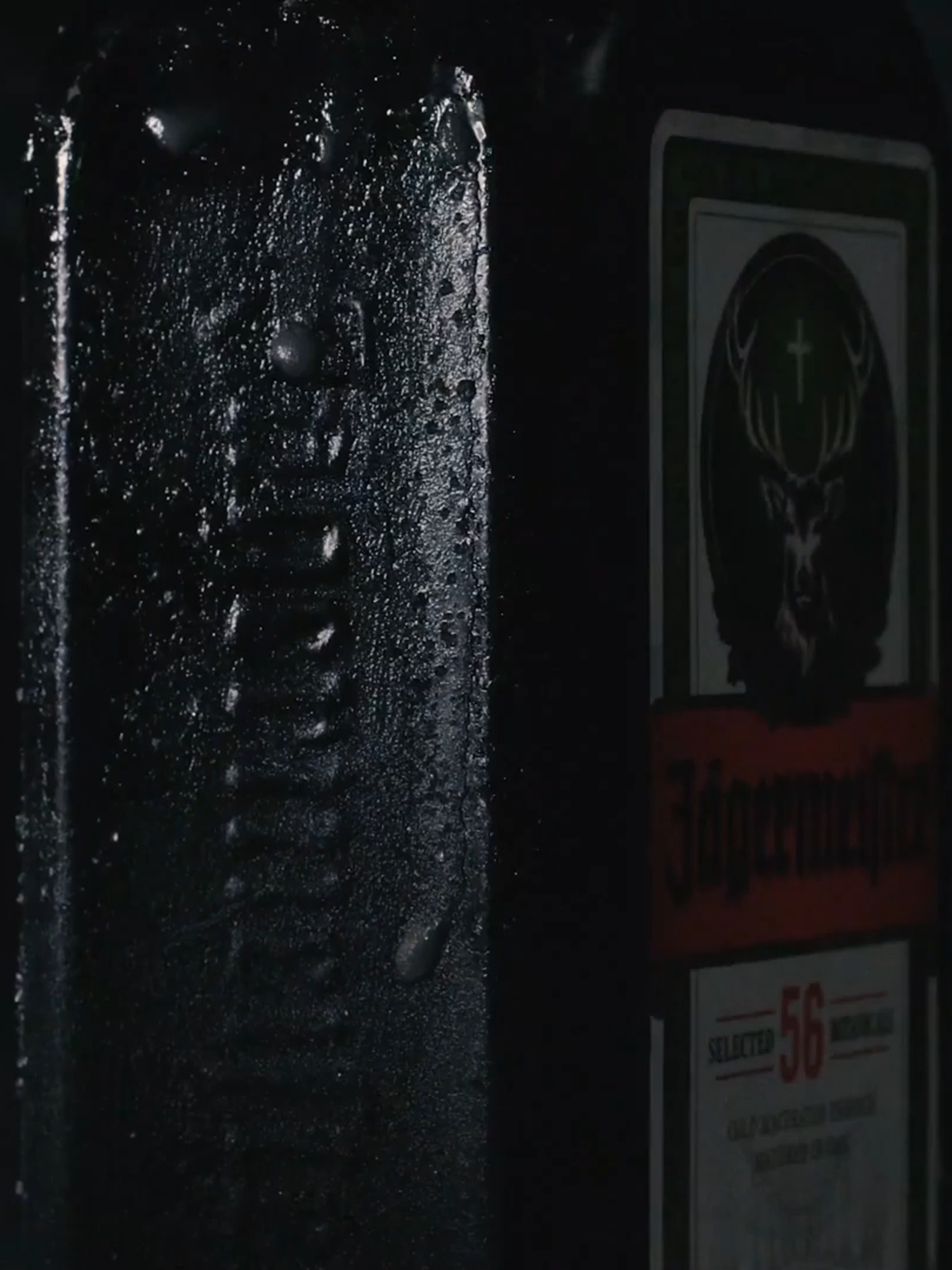 jagermeister edit || #jagermeister #drink #drive