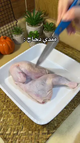 تعالو للبرنامج الاصفر الرابط بالبايو🤍 وصفه معاده 🤍 #fypツ #ب_الشمري 