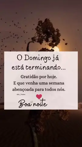 Domingo terminando...  Boa noite! . . #mensagem #boanoite #frase #gratidao #Deus #fé #foryou #fyp #amem 