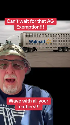 #greenscreen @Maple Creek Trucking #fyi #fyp #trucker #truckersoftiktok #truckerlife #truckertok #cdl #cdllife #womenintrucking #truckersofwalmart #walmartdriver #trucking #safety #arizona 
