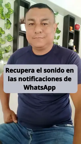 Recupera el sonido en las notificaciones de WhatsApp #consejos #trucosandroid #celulares #android #tips #trucos #tecnologia #tipsandroid #whatsapp #trucoswhatsapp 