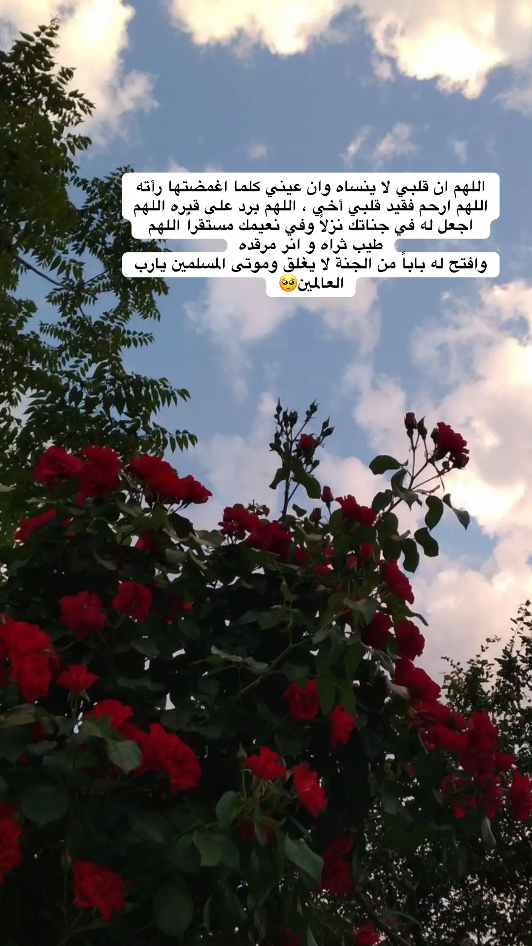 #صدقه_جاريه_لفقيدي #قران_كريم #سعود_الشريم #الرياض #اللهم_اغفر_لنا_وارحمنا_وتب_علينا #صدقة_جارية_لي_ولكم #لايك_متابعه_اكسبلور_كومنت 