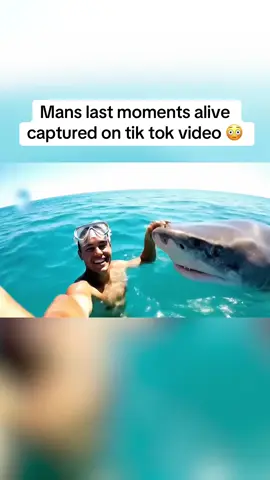 Swimming With Sharks 🦈 #GreatWhite #JAWS #BabyShark🎤🎶🎶